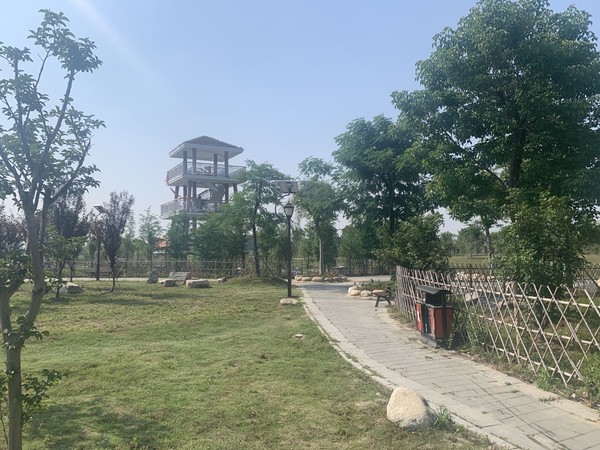 蚌埠市天公河及席家沟部分岸线环境综合治理工程（天河张公湖连通工程）施工Ⅱ标