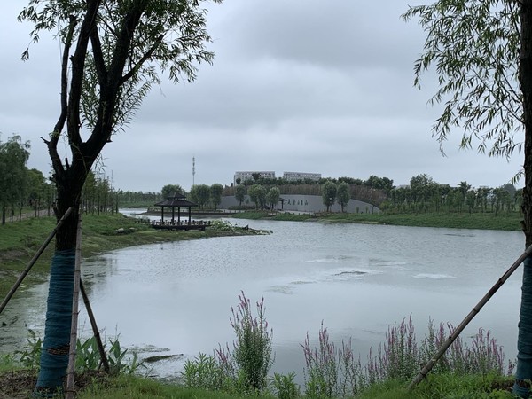 蚌埠市天公河及席家沟部分岸线环境综合治理工程（天河张公湖连通工程）施工Ⅱ标